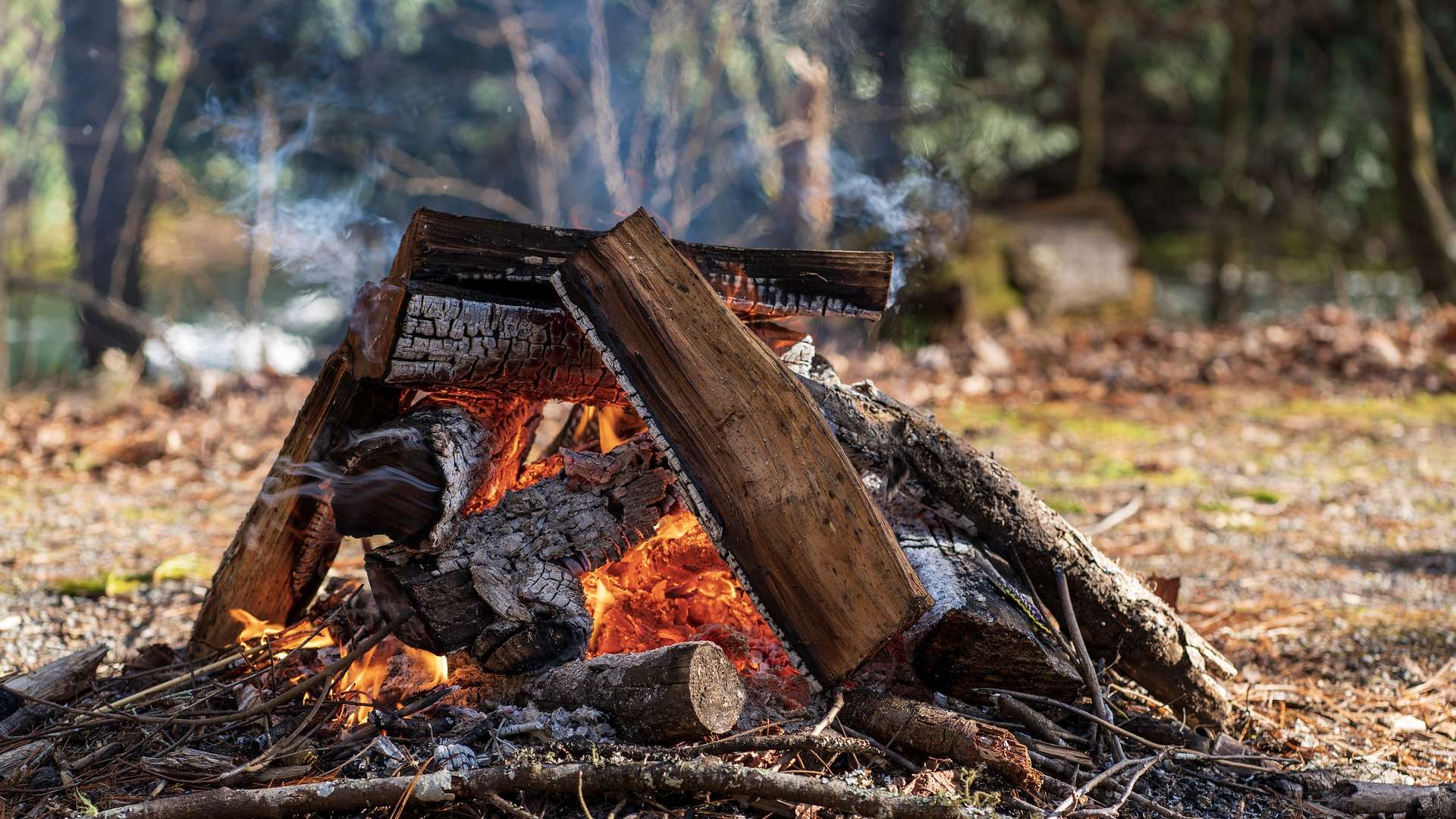 Lagerfeuer während der Bushcraftguide Ausbildung