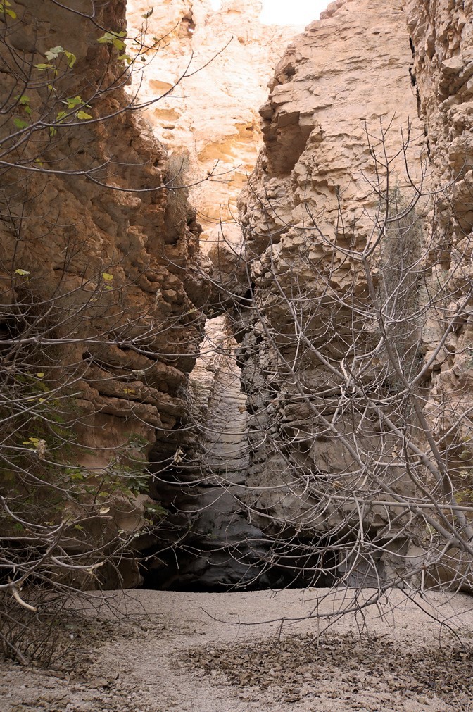 Wasserloch Haz auf den Israel National Trail / Trekkingtour Begev