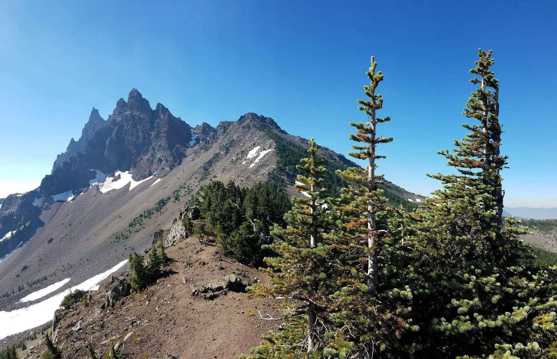 bergkette mit nadelbäumen davor