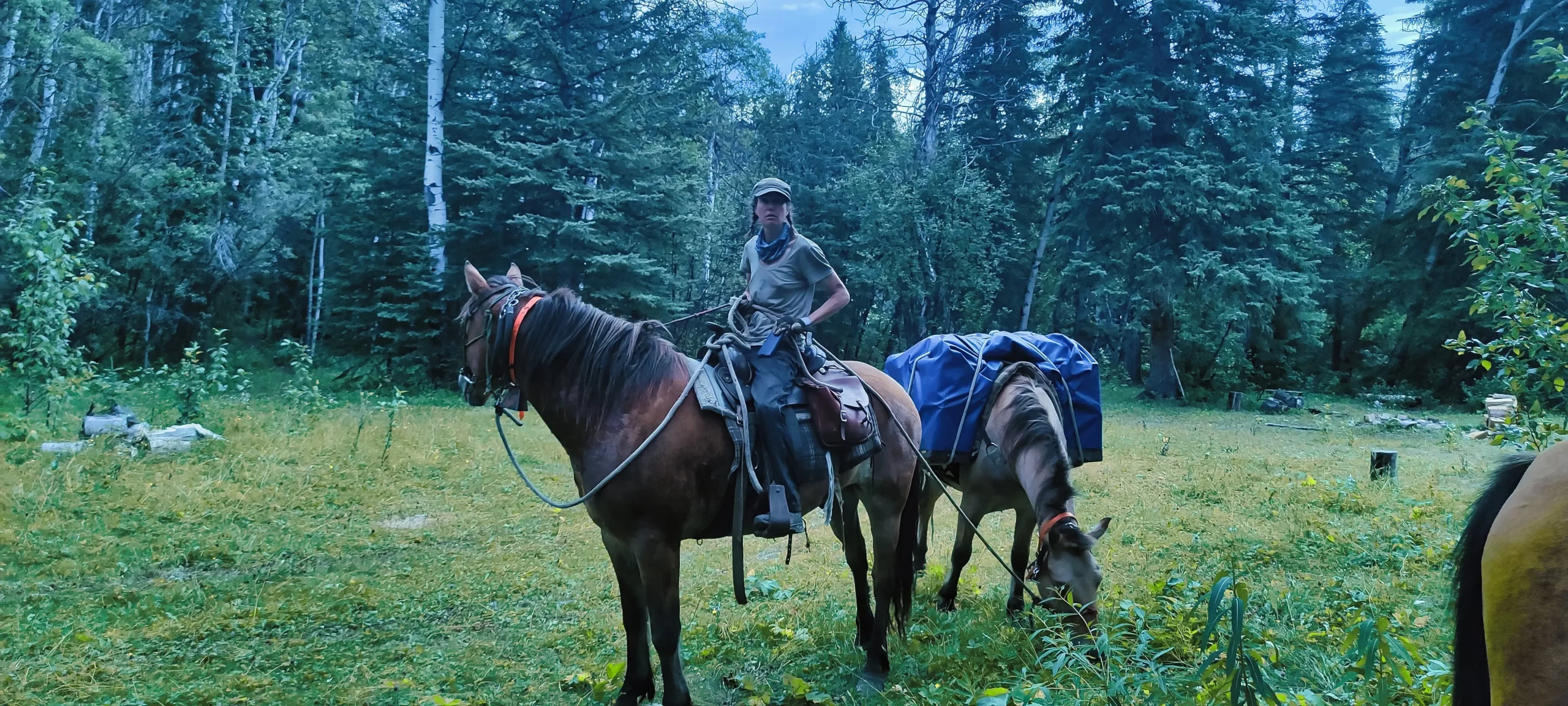 Frau mit zwei Pferden beim Trekking